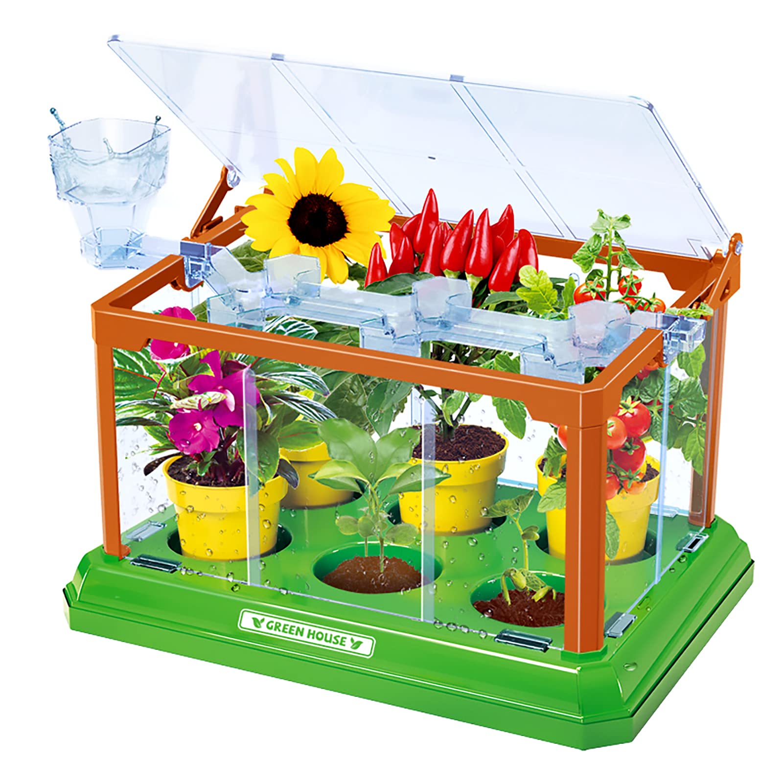 Amazon.com: EXBEPE Kids Gardening Kit Greenhouse Growing Terrarium